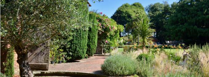 Liz’s Diary July 2025: Let’s go alfresco