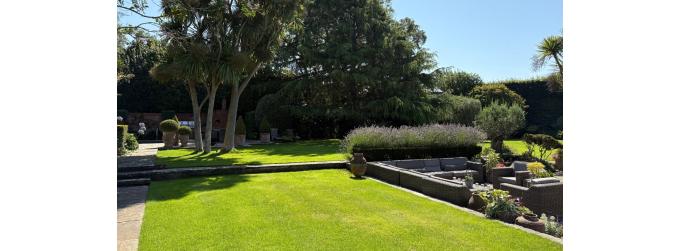 Liz’s Diary August 2025: Welcome to Awesome August! 