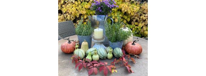 Liz’s Diary October 2026: Welcome to beautiful and golden October
