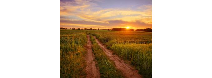 Liz&#039;s Diary August 2026: Welcome to Awesome August!