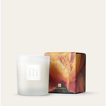 Dual-Layered Aromatic Candle SEASONS OF CHANGE from TEMPLESPA.
Moments That Move Us Christmas Collection from TEMPLESPA