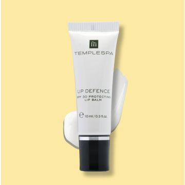 LIP DEFENCE