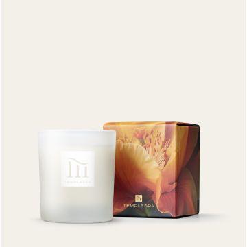 Dual-Layered Aromatic Candle SEASONS OF CHANGE from TEMPLESPA.
Moments That Move Us Christmas Collection from TEMPLESPA