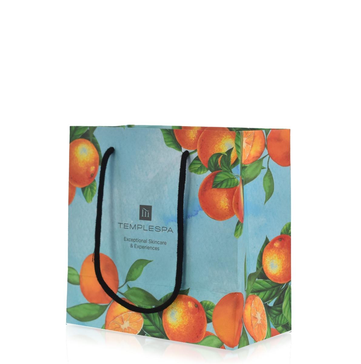 Gift Bag with Handles - LUXURY GIFT BAG - SMALL