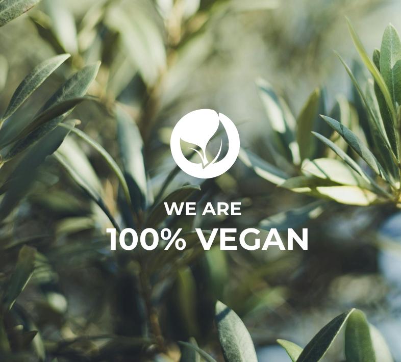 100% vegan TEMPLESPA icon with green leaves in background with sunlight shining on 