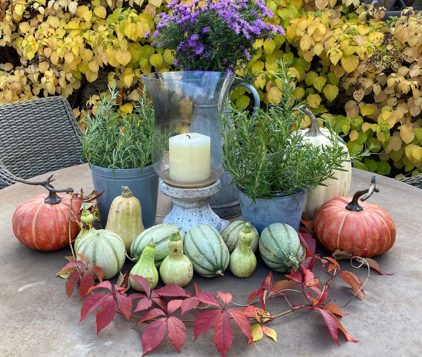 Liz's Diary blog post for October 